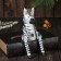 Souvenir "Zebra" hanging paws, wood 4.5x9x25 cm
