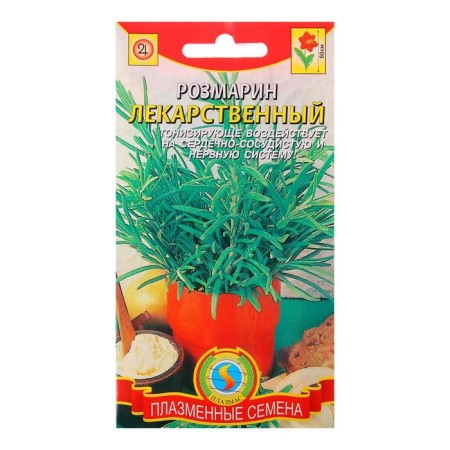 Seeds Rosemary medicinal, 20 pcs-2