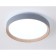 LED ceiling LED with Ambrella Light, Design, FZ1320, LED, 41 W, 3075LUM, 3000-6400K, Gray, Light Wood