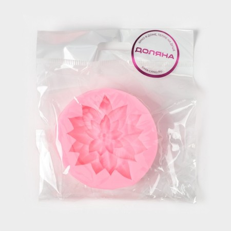 Mold Dolyana "Multi -leaf", silicone, 6.3 × 6.3 × 1.7 cm, color mix-5