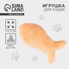 A cat's toy 