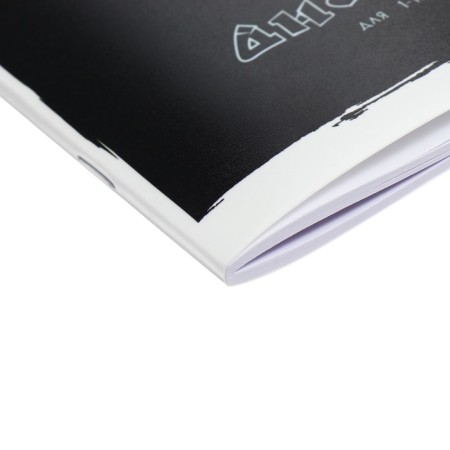 Universal 1-11 class diary, 48 sheets "main ducks", color printing, block 65g/m2-2