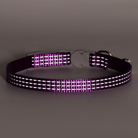 Feature Fleeting Roader, 19-32 x 1 cm, purple-7