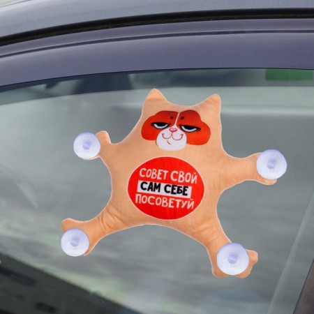 Auto -toe “Advise your own advice”, cat, on suction cups-2