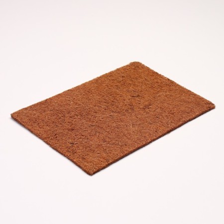 Coconut fiber rug, 30 x 20 cm-2