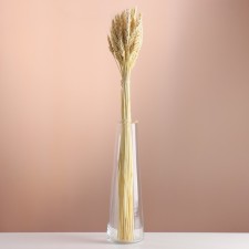 A set of dried flowers 