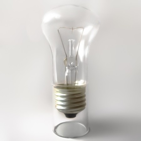 Fox incandescent lamp, E27, 40 W, 580 lm