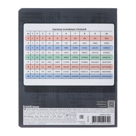 Subject notebook, 48 sheets, cage, computer science Erichkrause "Chubrik", plastic cover silk-screen covers, OFSET BELICT 100%, information block-9