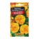 Coreopsis seeds Terry Sun MN Ts/p 0.1 g
