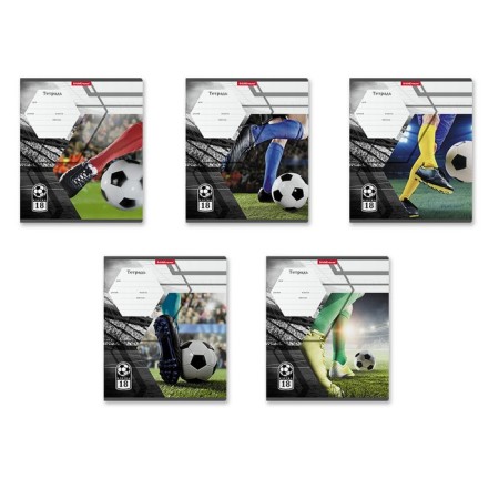 Notebook of 18 sheets in the Erichkrause Dribbling cage, cover coated cardboard, offset block, mix-2