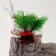 New Year! Candy "Boot", with a spruce branch, color mix