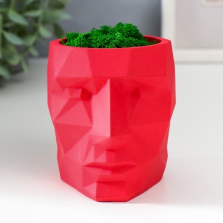 Concrete Kashpo "Head" with moss height 8.5 cm red (moss green stabilized)