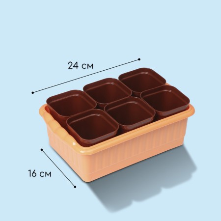 Set for seedlings: glasses of 250 ml (6 pcs.), Container 24 × 16 cm, mix-2