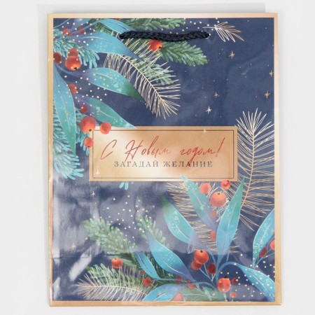 Laminated vertical package “Make desire”, MS 18 x 23 x 8 cm, New Year-5
