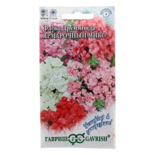 Flower seeds Flox Drummond 