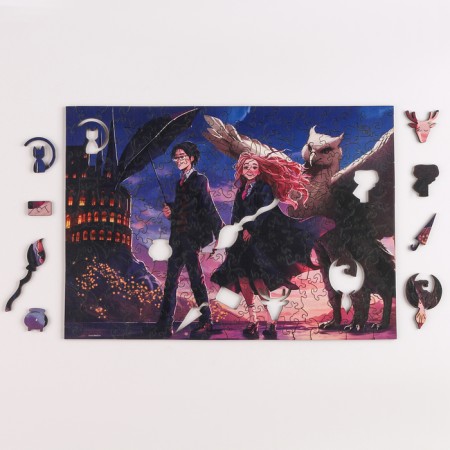 Figure puzzle "Magic School"-3