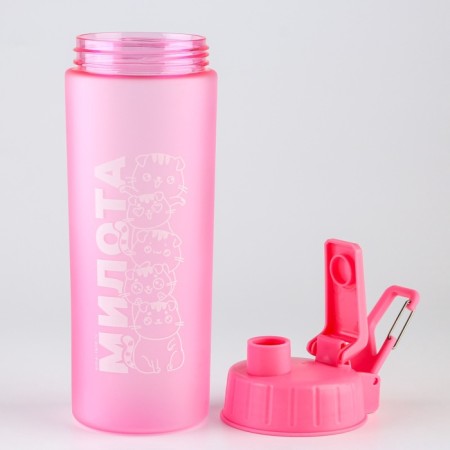 Set of drinking bowl and silicone bowl "cats"-11