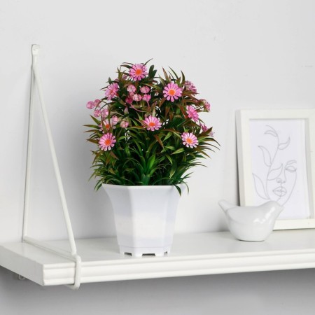 Bonsai in the pot "Chamomile Niva" 11x22 cm, mix