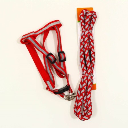 Set "braid", fluorescent, leash 115 x 1 cm, og 32-48 x 1.5 cm, red-6
