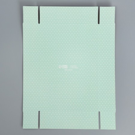 Confectionery packaging, Makarun with PVC lid, Makaruns, 18 x 12 x 3.5 cm-4