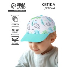 Baby cap for the boy 