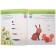 Montescorori method. Development through the game. In the forest. Activities with stickers, Piroddy K.