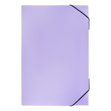 Folder Carder Calligrata watercolor 13 department. A4 plastic 0.7mm lavender, black resident-1