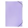 Folder Carder Calligrata watercolor 13 department. A4 plastic 0.7mm lavender, black resident