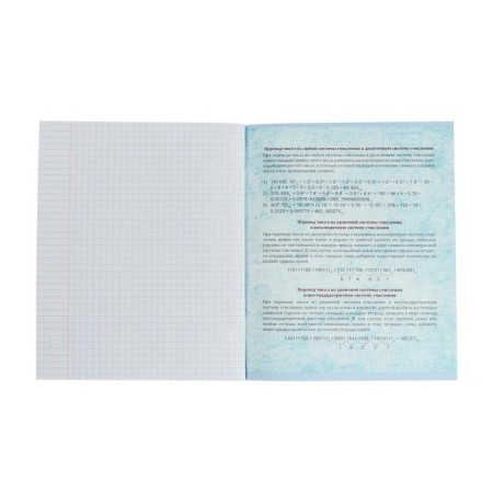 Subject Calligrata Embabula, 48 sheets in a cage computer science, with reference material, cover coated cardboard, UV-lak, OFSET block-3