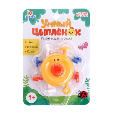 Developing toy "smart chicken"-6