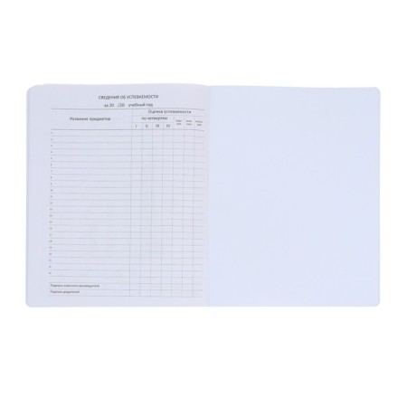 Universal diary for grade 1-11, solid cover, artificial leather, brown cover, liesse, 80 g/m2-10