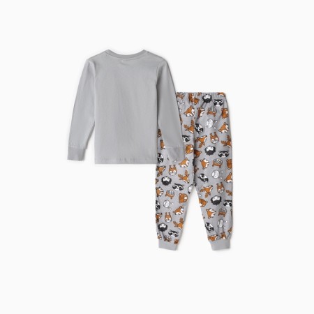 Pajamas for a boy (longshilly/pants), gray/hedgehog color, height 122cm-5
