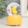 Souvenir Polystone Water Ball Light "Entertainment Duck" MIX 7x5x5 cm