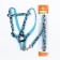 The stolen set "Militari", leash 120 x 1 cm, OG 23-35 cm, blue