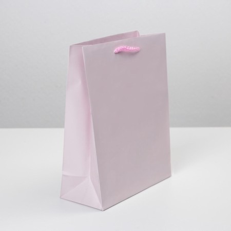 Gift Package Laminated, packaging, "pink", MS 18 x 23 x 8 cm-2