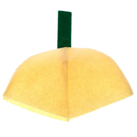 Carnival set "Cute pear", felt-8