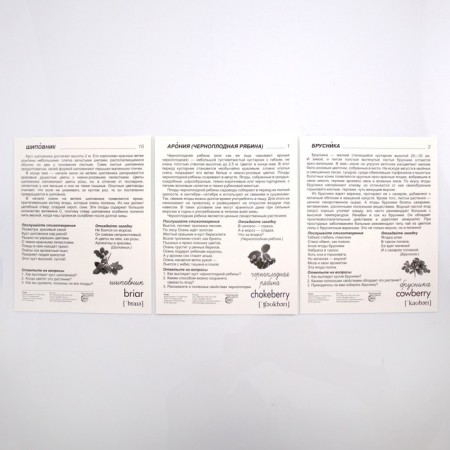 Demonstration pictures. Berries.. 16 demonstration pictures with text. 174x220 mm-2