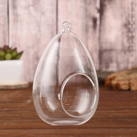 Florarium "Having" D-BLS-5.5 cm 9x9x16 cm