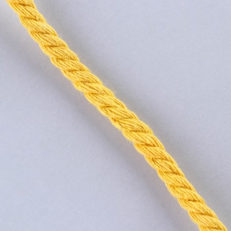Dog toy "Bird", with a rope-3