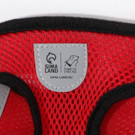 Drinking harness with a leash and reflective patch, m, ok 33, og 32-43, red-4