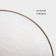 Lacking plate Magistro "Alcor", d = 30.5 cm, the color is transparent with gold chasing