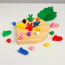Developed set 