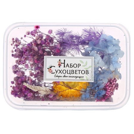 Set for creativity "Set of dried flowers" large, blue + yellow + lilac-3