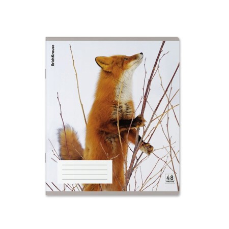 Notebook of 48 sheets in the Erichkrause cage, with a plastic cover, 5V, mix-9