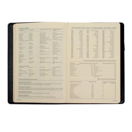 Diary Semi -dated A5, 208 PROFY sheets, reclaid leather, replaced block, gold cut, black-15