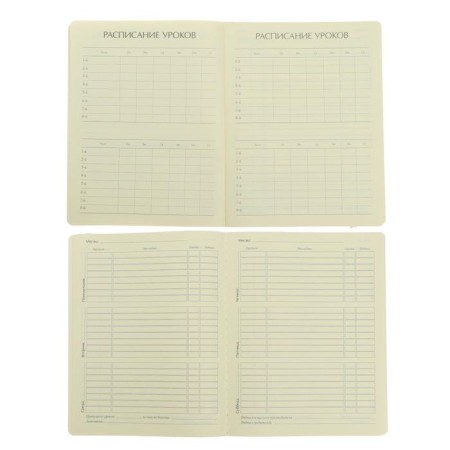Universal diary for grades 1-11, 48 sheets “Penguin and ice cream”, hard cover, artificial leather, tinted block 70 g/m2-4