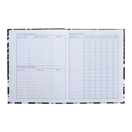 Universal diary for grades 1-11 Smiley, hard cover, matte lamination, selective UV-fluid, 40 sheets-5
