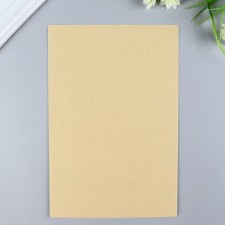 Hard felt 1 mm 20x30 cm St.