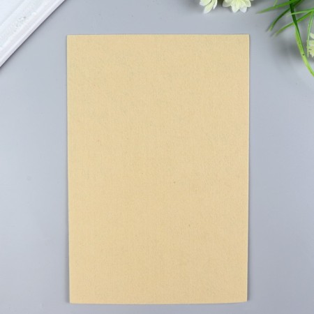 Hard felt 1 mm 20x30 cm St.