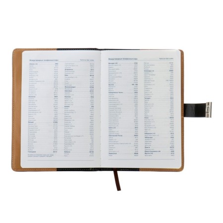 Diary of a low -up A5, 100 sheets in a cage, with a strap, leatherette cover (with a code lock) mix-2